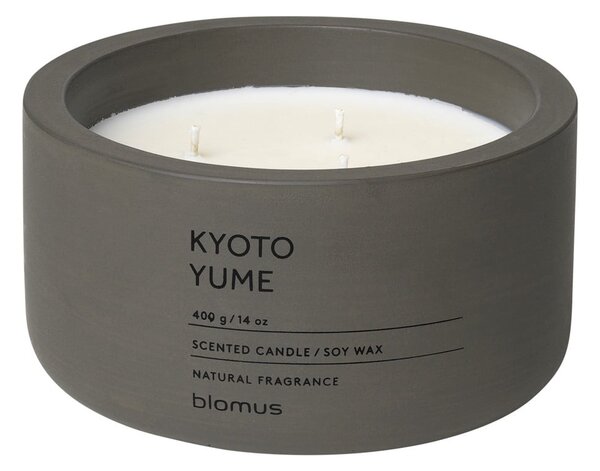 Illatos szójaviasz gyertya égési idő 25 ó Fraga: Kyoto Yume – Blomus