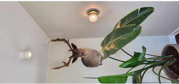 Mennyezeti Lámpa ANTIDARK, dimmable, Fehér, Nappali, Alumínium