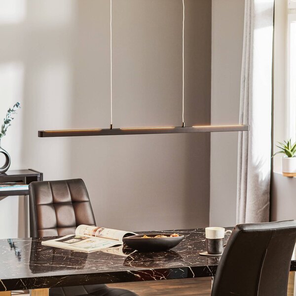 Paulmann Lento LED függő világítás, fekete, 100 cm, felfelé/lefelé irányuló, dimmelhető, Fekete, Nappali / Étkező, Alumínium, Modern