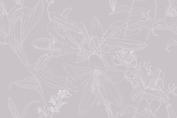 Öntapadó tapéta rajzolt orchidea rózsaszínben