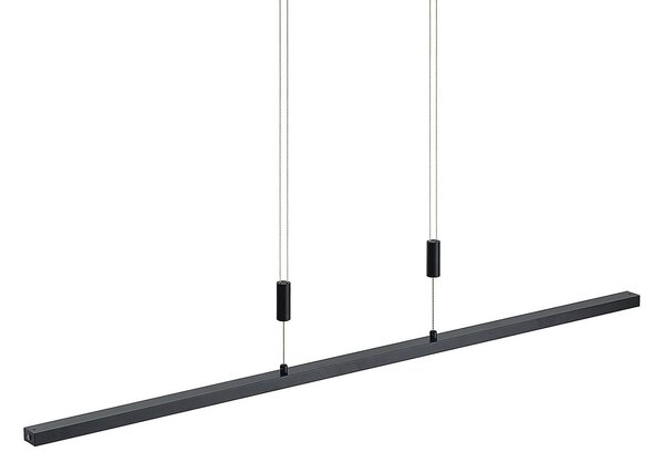 Függőlámpa Lindby, Arneja, dimmable, Fekete, Nappali, Fém, Modern