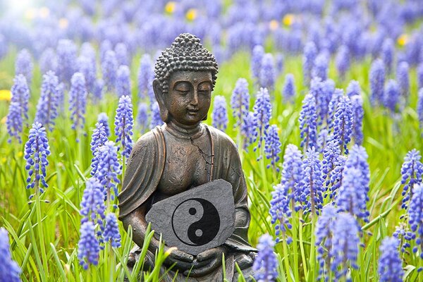 Fotótapéta jin és jang szimbólum Buddha kezében