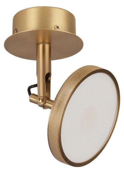 Mennyezeti Lámpa UMAGE, Asteria Spot, dimmable, Arany / Sárgaréz, Nappali, Fém, Dizájn