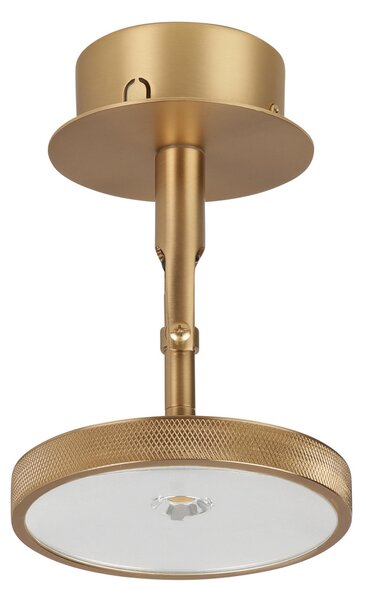Mennyezeti Lámpa UMAGE, Asteria Spot, dimmable, Arany / Sárgaréz, Nappali, Fém, Dizájn
