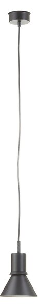 Függőlámpa Anglepoise, Type 80, Fekete, Nappali, Fém, Dizájn