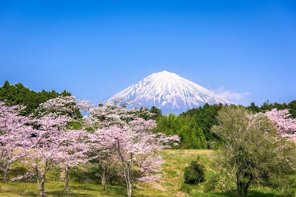 Fotótapéta Fuji vulkán