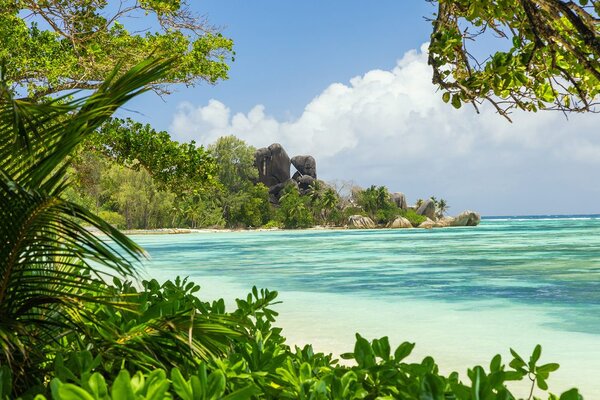 Fotótapéta gyönyörű strand a szigetenLa Digue