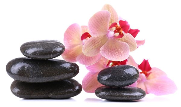 Fotótapéta SPA kövek és orchidea