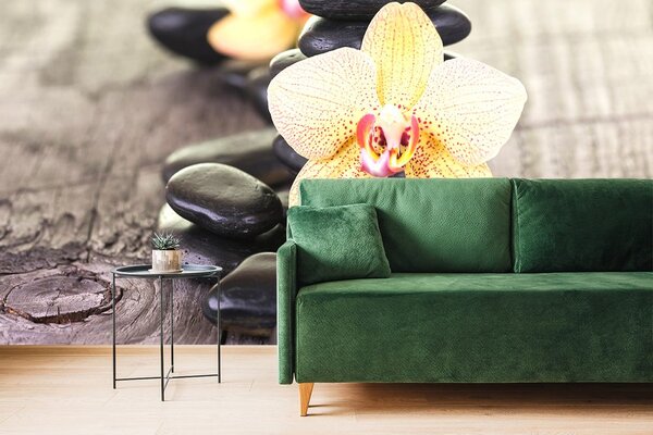 Fotótapéta sárga orchidea Zen kövek