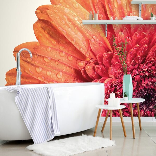 Fotótapéta narancssárga gerbera víz csepekkel