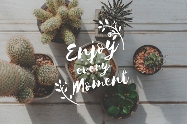 Fotótapéta idézettel - Enjoy every moment