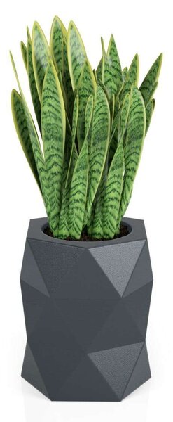 Designer virágtartó edény monumo modena 2 színválaszték 54cm magas