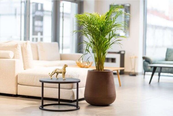 Designer kaspó monumo lago 50cm magasság antracit