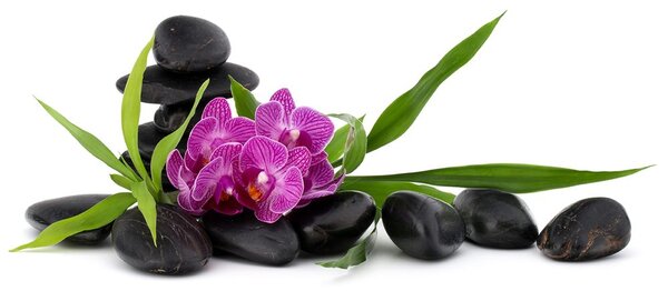 Fotótapéta lila orchidea Zen csedéletben