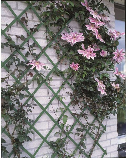 Nature zöld, pvc lugas rács 50 x 150 cm 6040702