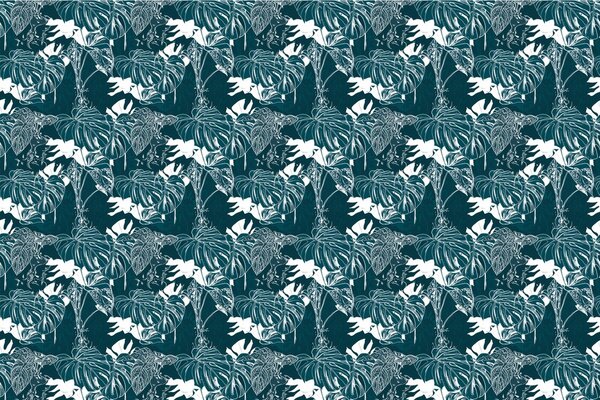 Tapéta trópusi monstera
