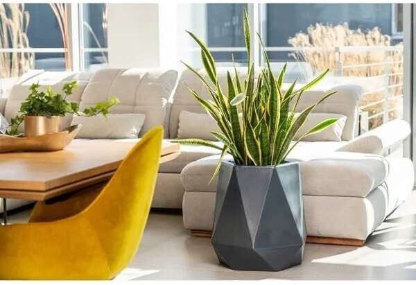 Designer pot monumo flavi 2 színválaszték