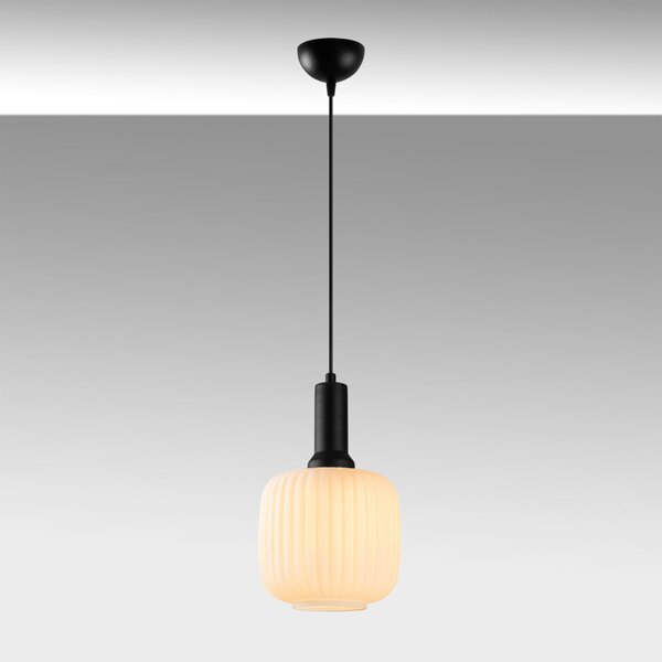 Asker 15187 fekete fém-üveg függőlámpa, Ø20 cm