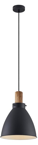 Függőlámpa Lindby, Trebale, dimmable, Fekete, Nappali, Fém, Skandináv