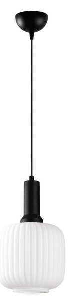Asker 15187 fekete fém-üveg függőlámpa, Ø20 cm