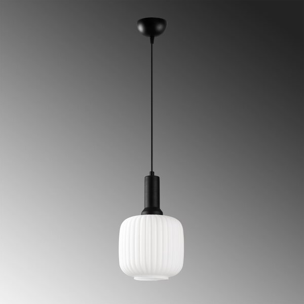 Asker 15187 fekete fém-üveg függőlámpa, Ø20 cm