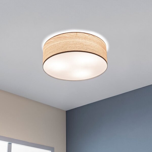 Mennyezeti Lámpa Paulmann, Liska, dimmable, Fa, Nappali, Fa, Modern