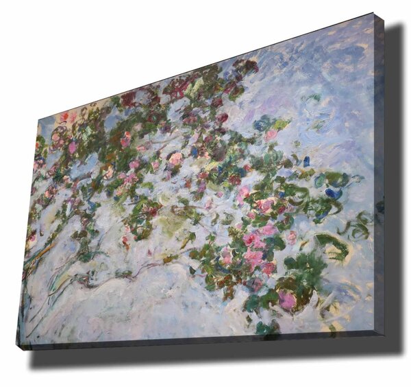 70100MONET003 Monet vászonkép, 70 x 100 cm