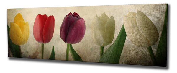 PC147 vászonkép, 30 x 80 cm