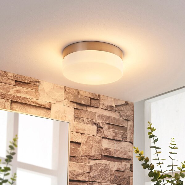 Mennyezeti Lámpa Lindby, Amilia, dimmable, Fémes, Fürdőszoba, Üveg, Modern