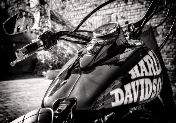 Harley - vászonkép