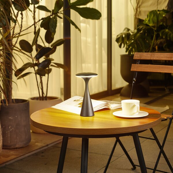 Asztali lámpa Lindby, Evelen, dimmable, Fekete, Erkély, Műanyag, Modern