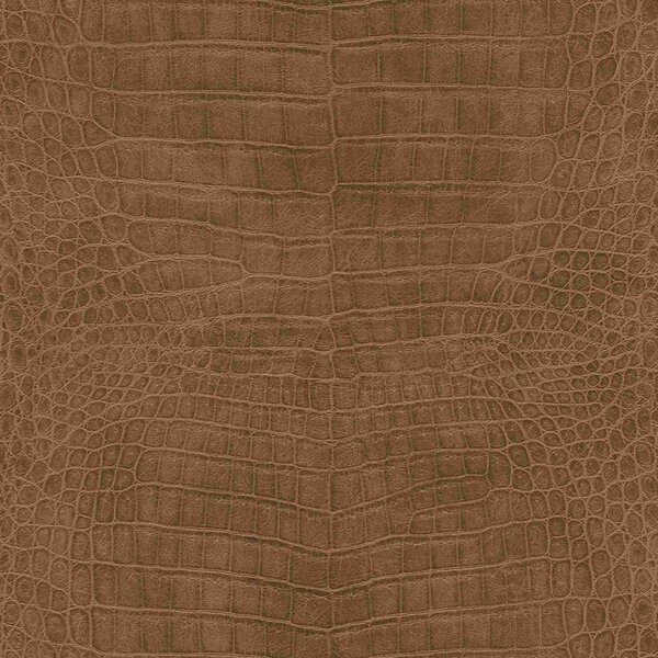 Nem szőtt tapéta falra rasch african queen 751314