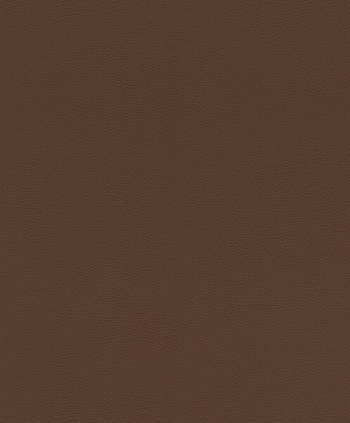 Nem szőtt tapéta falra rasch african queen 752663