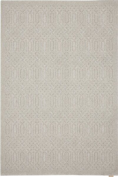 Világosszürke gyapjú szőnyeg 160x230 cm Dive – Agnella