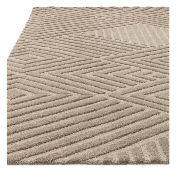 Világosbarna gyapjú szőnyeg 120x170 cm Hague – Asiatic Carpets