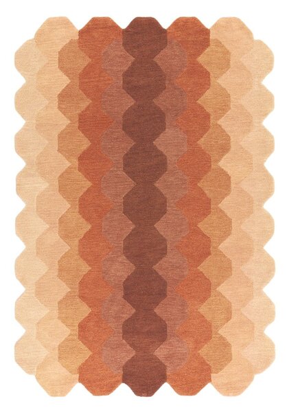 Téglavörös gyapjú szőnyeg 120x170 cm Hive – Asiatic Carpets