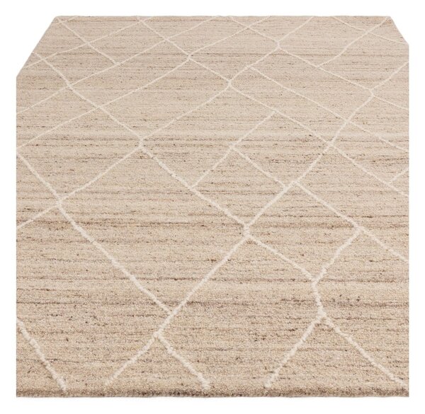 Natúr színű gyapjú szőnyeg 160x230 cm Noah – Asiatic Carpets