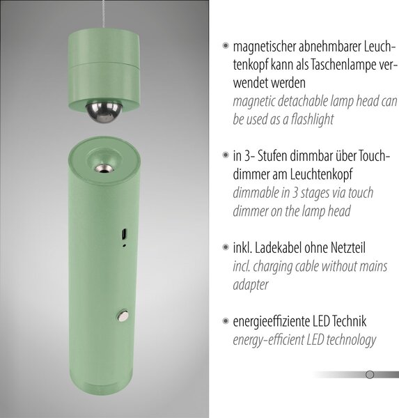 Paul Neuhaus modern függeszték attach zöld pln18281-43