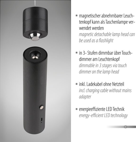 Paul Neuhaus modern függeszték attach fekete pln18281-18