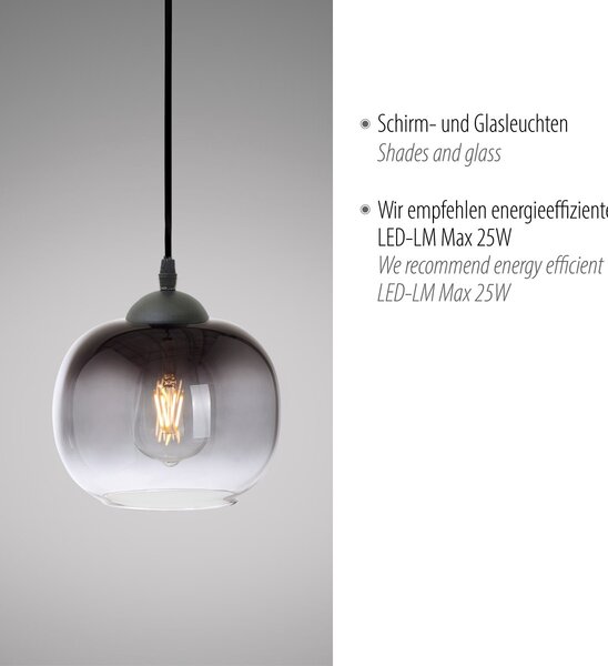 Paul Neuhaus modern függeszték zea fekete pln15420-18
