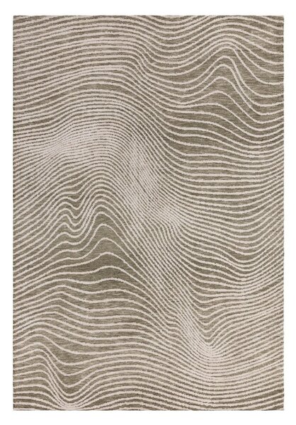 Zöld-krémszínű szőnyeg 120x170 cm Mason – Asiatic Carpets