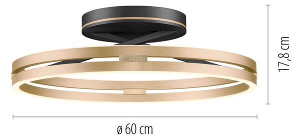 Paul Neuhaus modern mennyezeti lámpa pure loop fekete sárgaréz pln6552-68