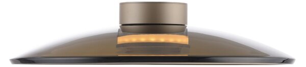 Paul Neuhaus modern mennyezeti lámpa pure moon barna pln6095-97