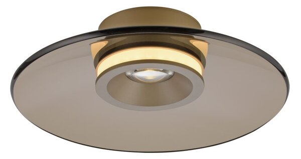 Paul Neuhaus modern mennyezeti lámpa pure moon barna pln6094-97