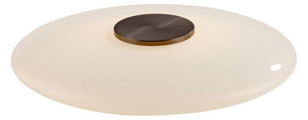 Paul Neuhaus modern asztali lámpa pure vitrum bézs barna pln4080-34