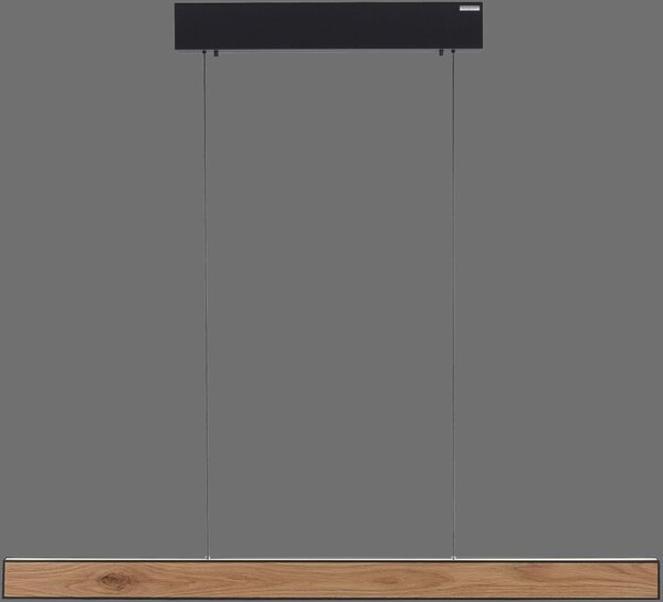 Paul Neuhaus modern skandináv függeszték pure e-motion fekete fa pln2570-79
