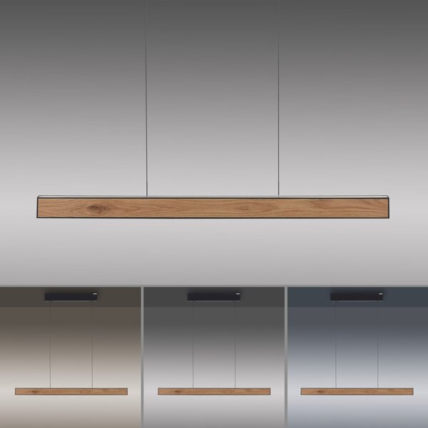 Paul Neuhaus modern skandináv függeszték pure e-motion fekete fa pln2570-79