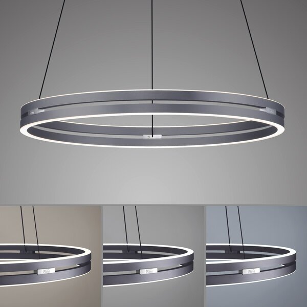 Paul Neuhaus modern függeszték pure e-loop szürke pln2551-15