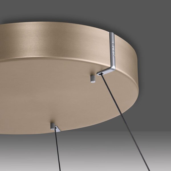 Paul Neuhaus modern függeszték pure e-loop sárgaréz pln2550-60