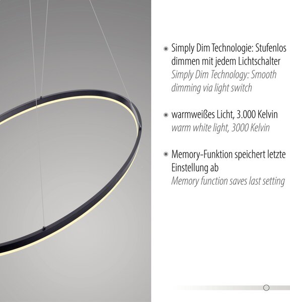 Paul Neuhaus modern függeszték titus antracit pln2393-13